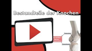 Bestandteile der Knochen clipdocsde [upl. by Rilda]