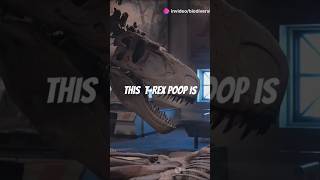 The Largest Dinosaur Poop Ever Found biofacts facts factshorts biodiversity biolife [upl. by Milburr417]