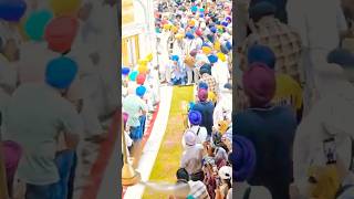 Dhan Dhan Shri Guru Granth Sahib Ji Maharaj🙏🏻dhanbabadeepsinghji shortsvideo ​navpreetkaur7051 [upl. by Ycrad]