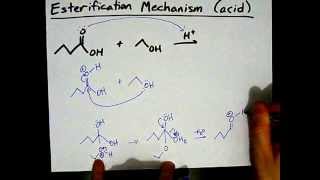 How to Make Esters Mechanism [upl. by Ansev]