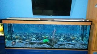 🔧TUTORIAL  Como hacer un Acuario casero de 2metros y 600 litros para tus peces [upl. by Anahgem689]