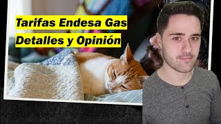 Tarifas Endesa Gas  Tarifa Única y Tarifa One ¡Todo lo que debes saber en 4 minutos [upl. by Retxed936]