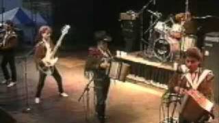 Los Tigres Del Norte Diamante Negro En Vivo 1991 [upl. by Sholes936]