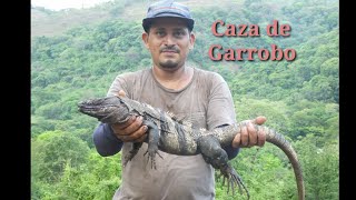 Cazando Garrobos grandes se puso buena la Cacería [upl. by Jaala309]