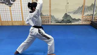 Poomsae Basic Koryo  Side view [upl. by Lacey56]