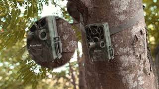 Moultrie Mobile Edge Trail Camera Review amp Setup with PicsVideo [upl. by Lagas]