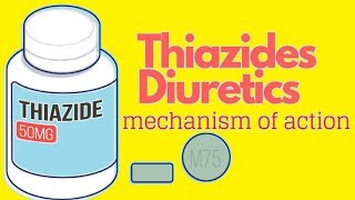 Thiazides Mechanism Of Action ANIMATED [upl. by Asek]