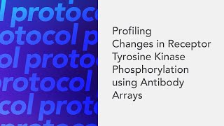 Profiling Changes in Receptor Tyrosine Kinase Phosphorylation using Antibody Arrays [upl. by Wilkey]