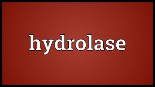 Hydrolase Meaning [upl. by Sheree130]