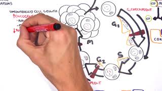 Oncogenetics  Mechanism of Cancer tumor suppressor genes and oncogenes [upl. by Ileana]