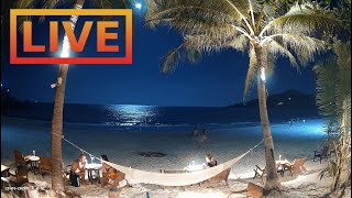 🔴 Beach Live Stream · House of Sanskara · Tuktoyaktuk Canada [upl. by Dolley241]