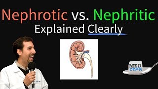 Nephrotic Syndrome vs Nephritic Syndrome Explained Nephritic vs Nephrotic [upl. by Ikoek]