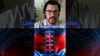 Causes of chronic lower back muscle tension [upl. by Brendis]