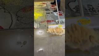 Oddly Satisfying Rug Cleaning [upl. by Helsell]