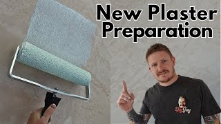 How i Prepare and Paint New Plaster  Mist Coating Guide [upl. by Suhsoj315]