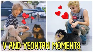 BTS V And His Dog Yeontan Cute Moments Feat Rocky [upl. by Geis]