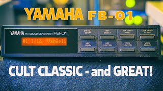 Yamaha FB01  A Cult Classic Sound Module [upl. by Hamilton113]