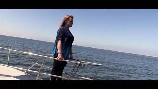 Dolphin Cruise in Swakopmund Namibia [upl. by Aicilla]