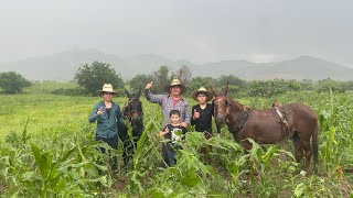 QUE CHULADA SE VINO LA LLUVIA MUY FUERTE EMPEZANDO A TRABAJAR [upl. by Cummine789]