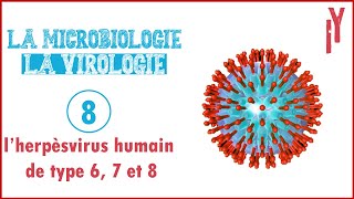 LA MICROVIROLOGIE EPISODE 8 l’herpèsvirus humain de type 6 7 et 8 [upl. by Coop]