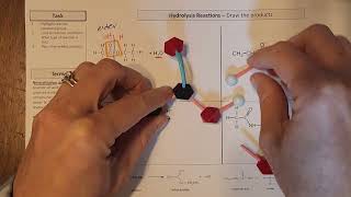 Hydrolysis reactions  esters and amides [upl. by Muncey]