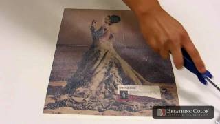 Using Timeless Varnish to Protect Fine Art Paper Prints [upl. by Hanikahs692]