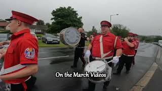 Inch Flute Band  Downpatrick Band Parade 2022 [upl. by Malissia]