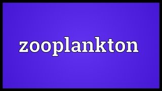 Zooplankton Meaning [upl. by Eseerehs]