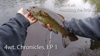 Fly Fishing 4wt Chronicles EP 1 Breaking in the New 4 wt and Practicing the Strip Set [upl. by Concoff]