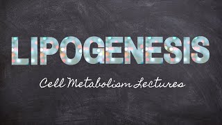 Learning Lipogenesis  Part 12 Metabolism Foundations  Nourishable Macronutrients Lecture 28 [upl. by Hayyim250]