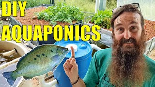 Starting an Aquaponics System  How to Start amp What You Need [upl. by Ailero]