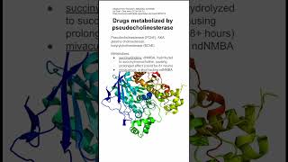 Drugs metabolized by pseudocholinesterase [upl. by Notsnhoj]