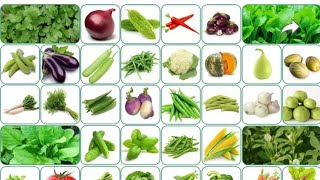 vegetable seeds  50 types seeds in Rs 169  seeds for garden [upl. by Lindeberg399]