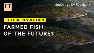 A better way to farm fish  FT Food Revolution [upl. by Ociram722]