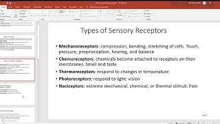 139 Senses and sensory receptors [upl. by Anaoy]