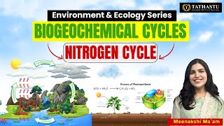 Biogeochemical CyclesNitrogen Cycle Environment amp Ecology Series Meenakshi Maam tathastuics [upl. by Ahseihs]