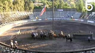 RODEO PARA CRIADORES DE RAZA CHILENA 3°SERIE LIBRE [upl. by Chaudoin]