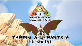 ARK Scorched Earth  How to tame a Lymantria  Tutorial [upl. by Ramsden]