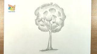 comment dessiner un arbre au crayon [upl. by Attenborough]