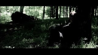 Gaz Brookfield  Black Dog Day Official Video [upl. by Ultima]