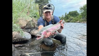 The Highs and LOWS of Truckee River Trout Fishing Are Real  I Got Outsmarted By a Monster Rainbow [upl. by Shulins]