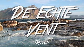 De Echte Vent  Racoon Lyrics HD [upl. by Amsirahc]