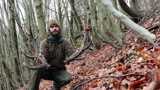 Shed hunting 2024 Episode 02 Slovenia  Last years haulZrzuty Ósmak i Piekna para dwunastaka [upl. by Eednil]