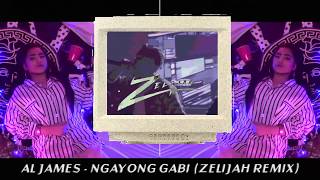 Al James  Ngayong Gabi Zelijah Remix [upl. by Eynttirb]