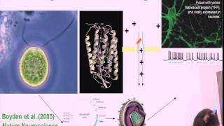 Controlling the Brain with Light  Ed Boydens Photonics West 2011 presentation [upl. by Navar259]