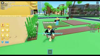 Roblox BREADWINNERS but I scam people [upl. by Bocoj886]