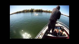 Feather River salmon fishing at Shanghai Bend [upl. by Yssirhc379]