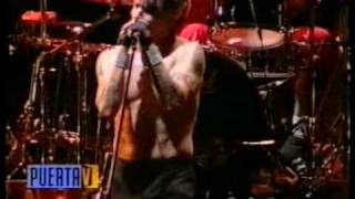 Californication Red hot chili peppers  Argentina 2001 [upl. by Ahsiemaj]