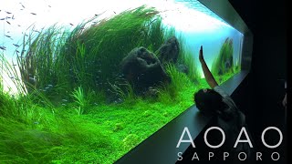 【VLOG】AOAO SAPPORO 札幌水族館 [upl. by Aciruam]