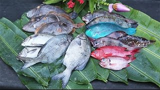 Recette  Poisson Licorne au massalé  Ile de la Réunion [upl. by Kathlin]